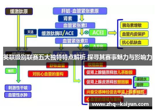 英联级别联赛五大独特特点解析 探寻其赛事魅力与影响力