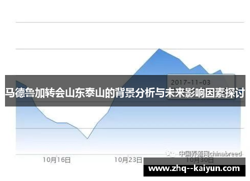 马德鲁加转会山东泰山的背景分析与未来影响因素探讨